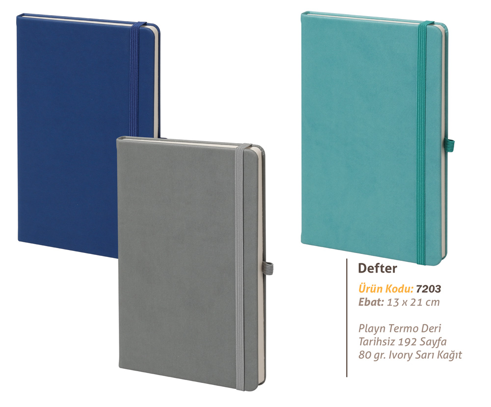 7203 Defter